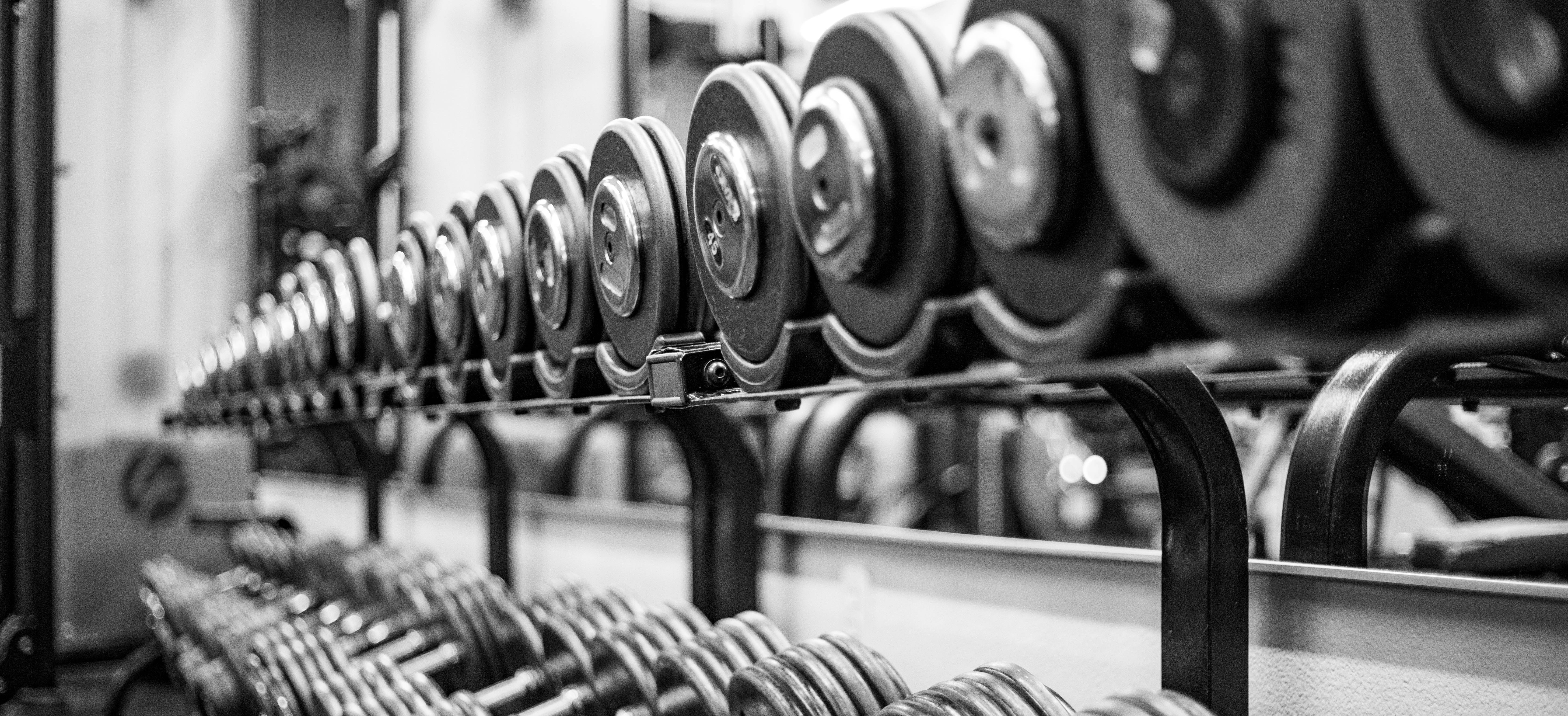 haltères alignées sur les racks dans une salle de spor
